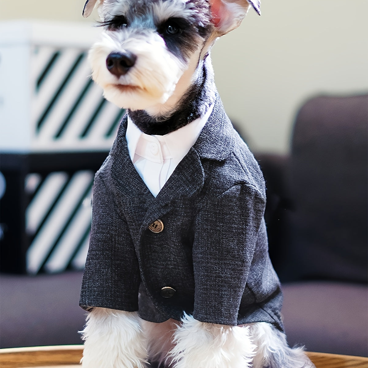 1pc Plaid Print Pet Suit Jacket - Stylish, Comfortable, Ideal for Wedding, Formal Events, and Christmas Gifts for Dog and Cat