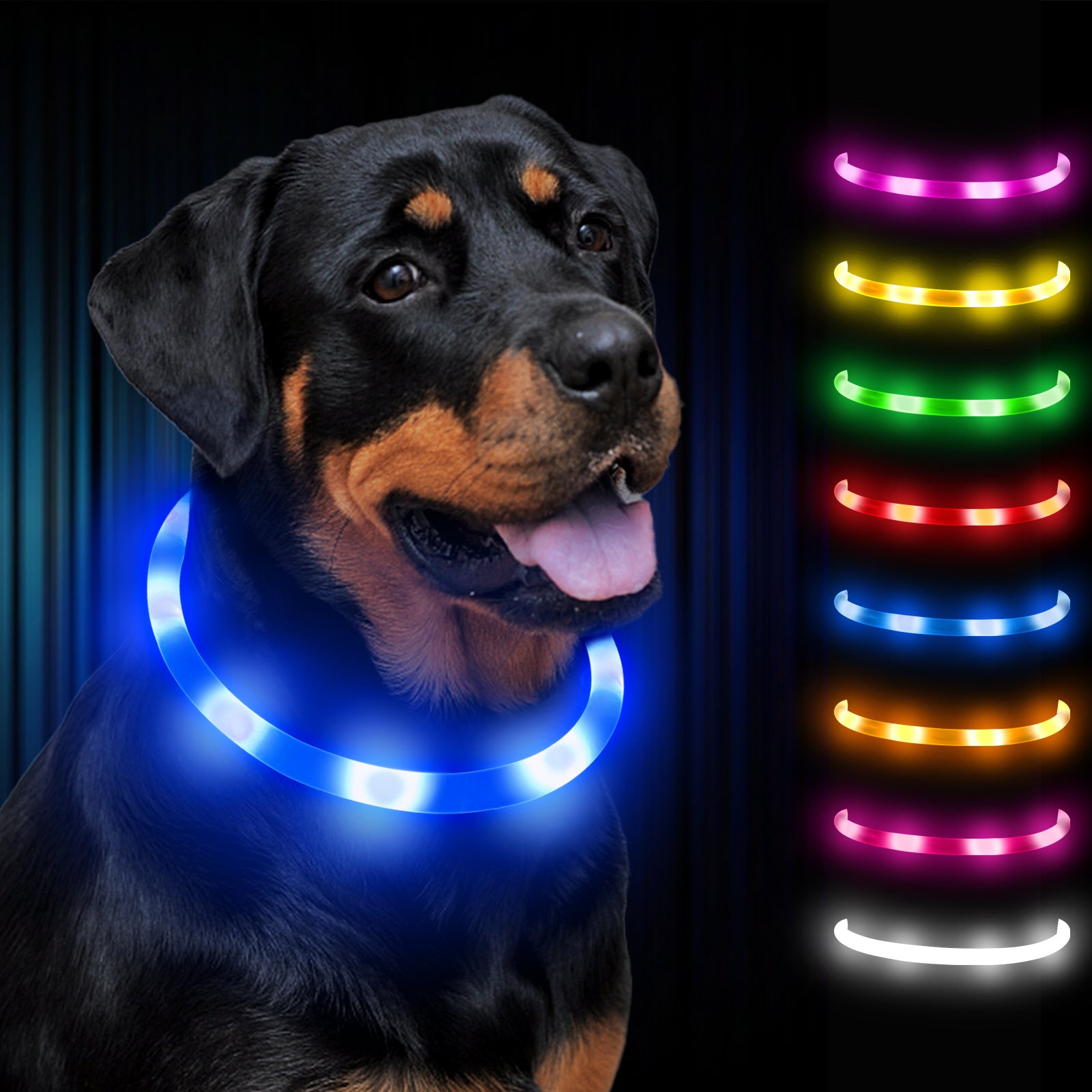 Joytale LED Pet Collar, USB Rechargeable Glowing Lighted Up, Adjustable Safety for Dogs & Cats, Silicone Material, 3 Light Modes, Ideal for Halloween & Christmas Gifts