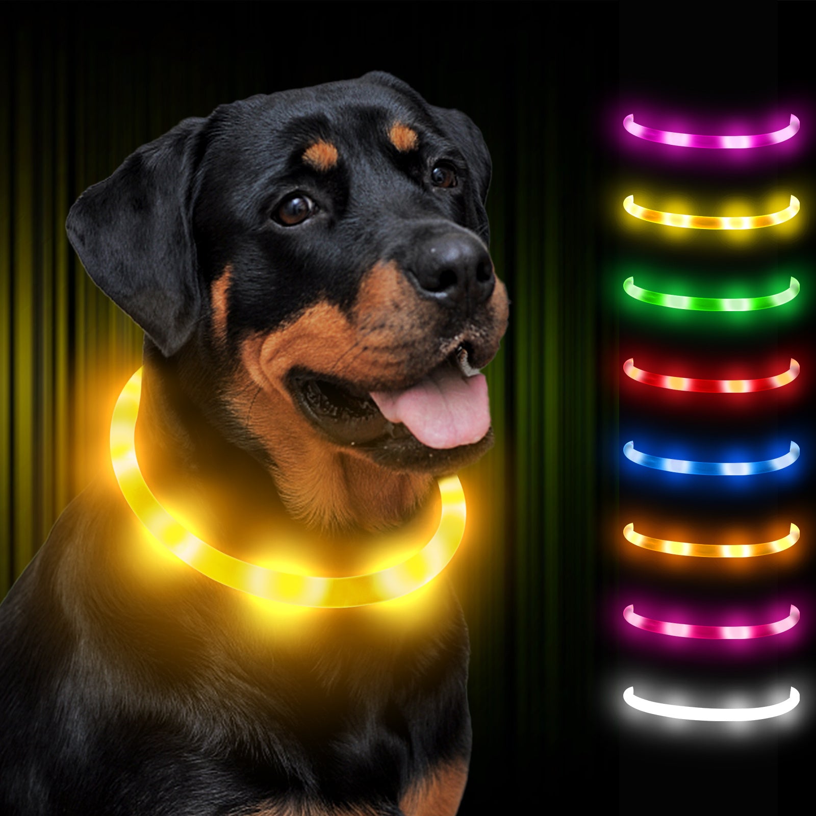 Joytale LED Pet Collar, USB Rechargeable Glowing Lighted Up, Adjustable Safety for Dogs & Cats, Silicone Material, 3 Light Modes, Ideal for Halloween & Christmas Gifts