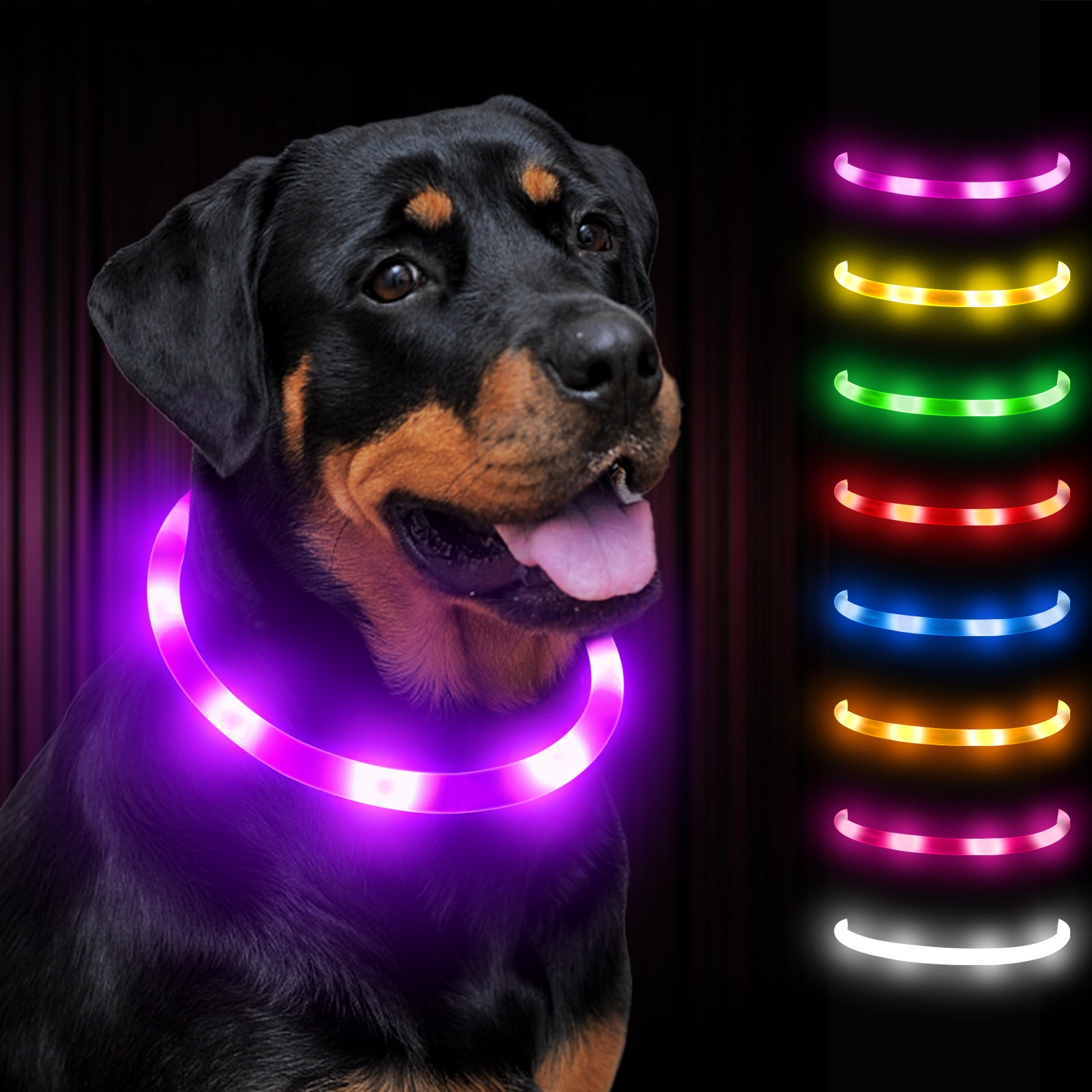 Joytale LED Pet Collar, USB Rechargeable Glowing Lighted Up, Adjustable Safety for Dogs & Cats, Silicone Material, 3 Light Modes, Ideal for Halloween & Christmas Gifts