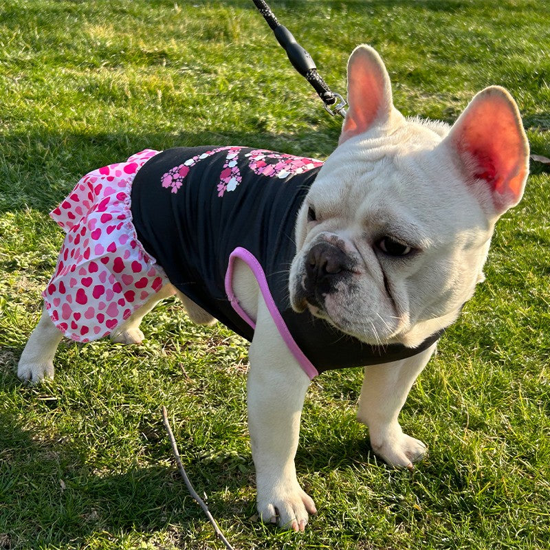 Adorable Pet Princess Dress - Breathable Shirts for Dogs and Cats with Letter Printing and Fashionable Skirt Design - Perfect for Pet Owners Who Want Stylish and Comfortable Costumes for Their Furry Friends