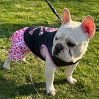 Adorable Pet Princess Dress - Breathable Shirts for Dogs and Cats with Letter Printing and Fashionable Skirt Design - Perfect for Pet Owners Who Want Stylish and Comfortable Costumes for Their Furry Friends