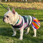 Adorable Pet Princess Dress - Breathable Shirts for Dogs and Cats with Letter Printing and Fashionable Skirt Design - Perfect for Pet Owners Who Want Stylish and Comfortable Costumes for Their Furry Friends