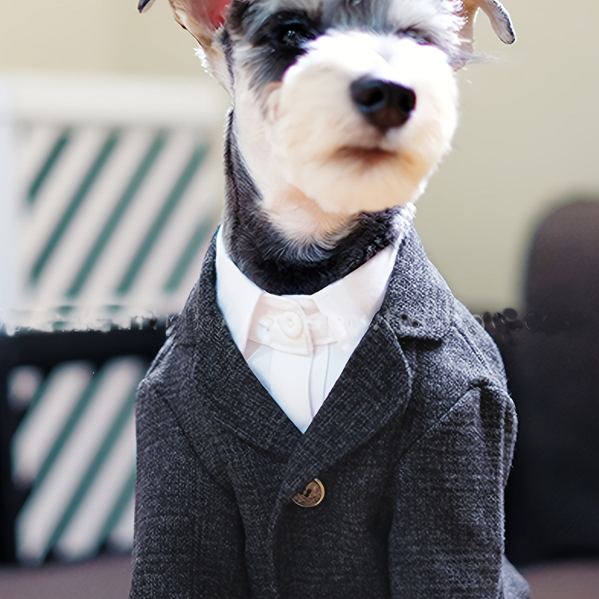 1pc Plaid Print Pet Suit Jacket - Stylish, Comfortable, Ideal for Wedding, Formal Events, and Christmas Gifts for Dog and Cat