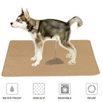 Waterproof Washable Pet Pee Pad and Diaper for Dogs - Reusable Moisture-Proof Crib Mat and Sofa Cover - Protects Furniture and Floors from Accidents.