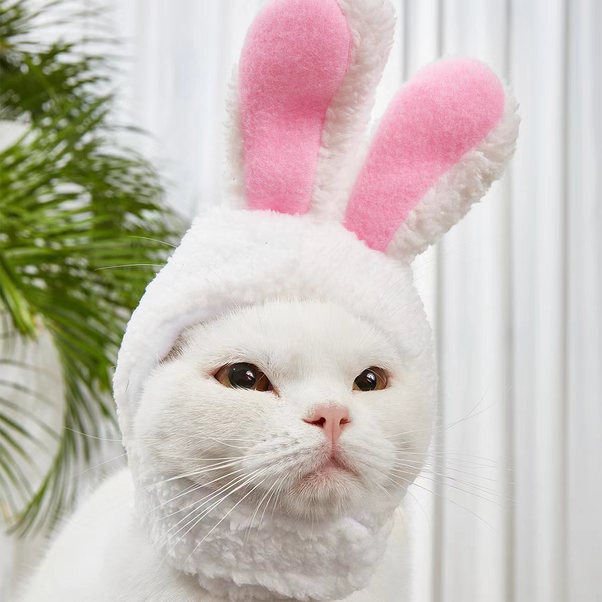 Adorable Rabbit Cat Headgear for Small Dogs & Cats - Perfect Pet Party Costume and Accessory - Soft & Comfortable Fabric - For Festive Occasions - Ideal Gift for Pet Lovers