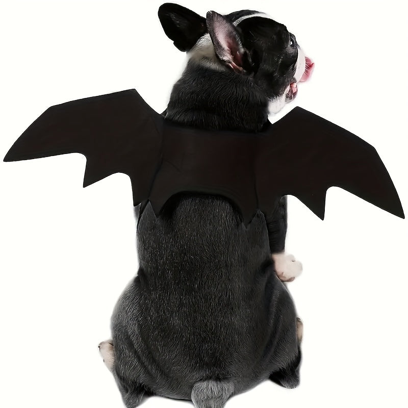 Halloween Pet Costume - Bat Wings for Your Furry Friend - Perfect for Trick or Treating and Costume Parties