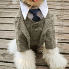 1pc Plaid Print Pet Suit Jacket - Stylish, Comfortable, Ideal for Wedding, Formal Events, and Christmas Gifts for Dog and Cat