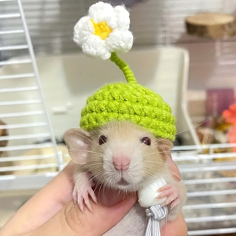 Small Pet Hats - Designed for Tiny Friends, Perfect for Parrots, Hamsters, and Other Small Furry Friends, Adorable Bird-Inspired Headpieces, Cute and Colorful Decorative Hats, Miniature Hats for Tiny Heads