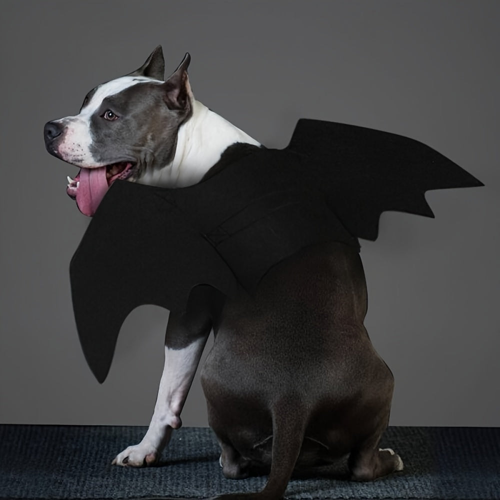 Halloween Pet Costume - Bat Wings for Your Furry Friend - Perfect for Trick or Treating and Costume Parties