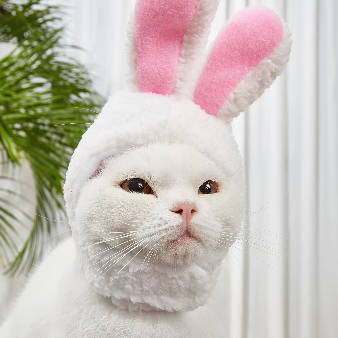 Adorable Rabbit Cat Headgear for Small Dogs & Cats - Perfect Pet Party Costume and Accessory - Soft & Comfortable Fabric - For Festive Occasions - Ideal Gift for Pet Lovers