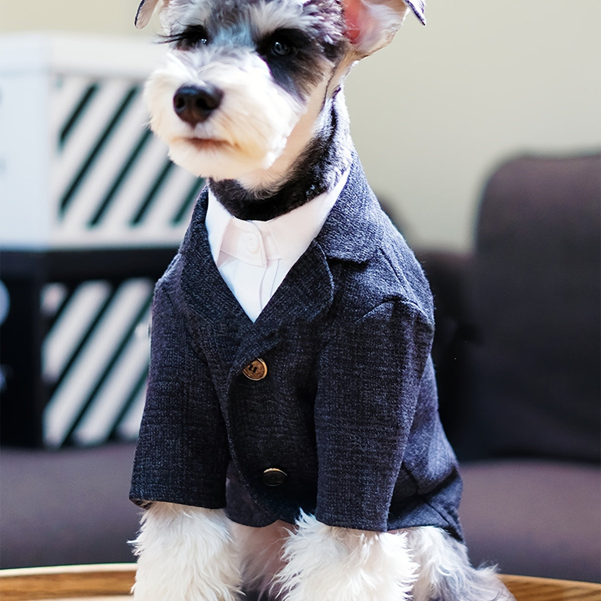 1pc Plaid Print Pet Suit Jacket - Stylish, Comfortable, Ideal for Wedding, Formal Events, and Christmas Gifts for Dog and Cat