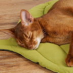 Cozy Leaf-Shaped Pet Mat: A Perfect Cushion for Your Cat or Dog's Comfort!