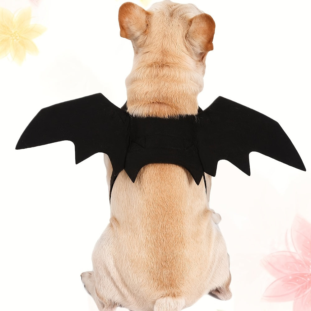 Halloween Pet Costume - Bat Wings for Your Furry Friend - Perfect for Trick or Treating and Costume Parties