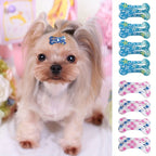 10-Pack of Adorable, Colorful, and Gentle Pet Hair Clips for Easy Grooming - Perfect for Puppies, Kittens, and Small Animals - Durable, Non-Slip, and Easy to Use