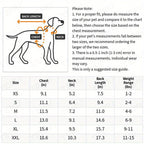 Mesh Pet Vest for Small Dogs and Cats - Breathable, Lightweight, Comfortable, Perfect for Summer - Thin, Adjustable Design for Easy Wear