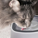 Spill-Proof Pet Water Bowl for Dogs & Cats - Anti-Splash, Non-Slip Base with Floating Filter Design, Perfect for Travel & Home Use, Dog Water Bowl