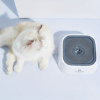 Dog Water Bowl Dog Bowl Slow Water Feeder No-Spill Pet Water Bowl Slow Feeder Dish