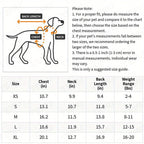 Waterproof Pet Raincoat For Small Dogs - Cute And Functional Outdoor Dog Apparel