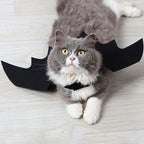 Halloween Pet Costume - Bat Wings for Your Furry Friend - Perfect for Trick or Treating and Costume Parties