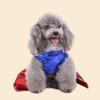 Sparkle In Style: Superhero Cosplay Pet Apparel -  For Toy Dogs, Small Dogs & Cats - Dress Up Costume - For Halloween, Parties & Photoshoots - Perfect Gift for Pet Lovers